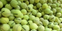 TENNIS NEEDS A COMMISSIONER. BY GENE SCOTT THE MAN WITH A CRYSTAL BALL. thumbnail