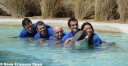 Fish Swims With The Dolphins (And Brings A Few Friends)… thumbnail