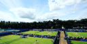 NOTTINGHAM TENNIS NEWS & UPDATES – EVANS FIGHTS WAY INTO AEGON OPEN THIRD ROUND – TICKETS AND PACKAGES STILL AVAILABLE thumbnail