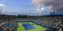 10SBALLS SHARES ATP • WTA DRAWS FROM THE WESTERN & SOUTHERN OPEN TENNIS IN CINCINNATI thumbnail