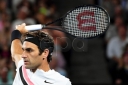 CONFESSIONS OF A FEDERER LOVER thumbnail