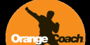 Orange Coach Newsletter (6/13) thumbnail